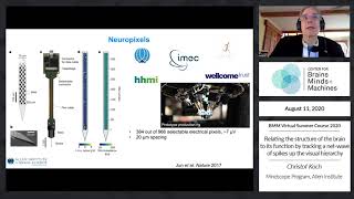 Relating the structure of the brain to its function by tracking a net-wave of spikes up the visua...