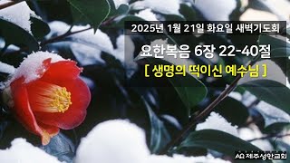 제주성안교회 1월 21일 화요일 새벽기도회