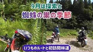 9月は探索と蜘蛛の巣の季節【いつものルートと初訪問林道】