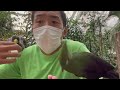 【まさかの鳥まみれ！？】花と鳥の楽園松江フォーゲルパークに行ってきた！【ハシビロコウのフドウくんと対決！】島根県松江市_移175：ﾊﾞｰｳｰ