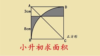 小升初，求阴影部分面积，典型易错题