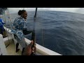 tuna popping trip south Mauritius (remastered) 😉