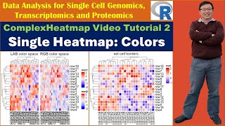 ComplexHeatmap Video Tutorial 2: Single Heatmap--Colors