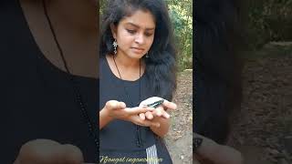 പച്ചകുതിരയിലെ ദിലീപ് Butterfly തപ്പി ഇറങ്ങിട്ടുണ്ട് 😜🧚‍♀️🧚‍♀️🧚‍♀️