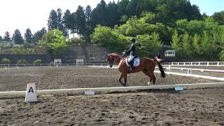 神奈川県民馬術大会兼国体予選会2018　第22競技　S2課目馬場馬術競技　公認　菅原権太郎　桜頂