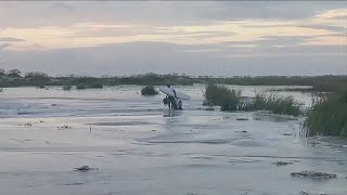 Glynn County Dealing with Flooding