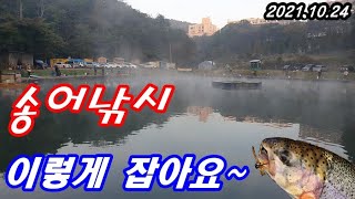 송어낚시 trout fishing 이렇게 잡아요~