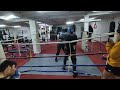 sparring 22 nov 2024 elias vs gallito montero gbt