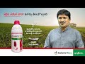 calaris xtra raghava herbicide corn u0026 sugar cane syngenta telugu