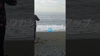 7月15日西湘サーフ朝マヅメ　 #西湘サーフ #fishing #釣り #beach #弓角 #サーフ