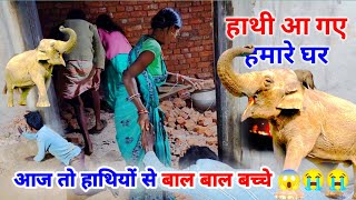 हमारे village में हाथी आ गए |  बाल बाल बच्चे | जंगली हाथियों का झुंड | Please Help Me #villagevlog