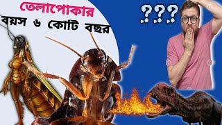 তেলাপোকার বয়স ৬ কোটি বছর.Cockroaches are 6 millions of years old)