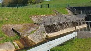 Dattelner Mühlenbach - Kanal Düker Einlauf NICHT NACHMACHEN- Ex Köttelbecke - Datteln - 20.04. 2022