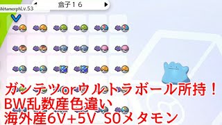 【ガンテツorウルボ所持！BW乱数産！海外産色違い6V\u00265V S0メタモン配布！】ポケモン剣盾 パスワード交換会ライブ