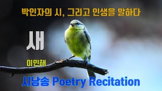 시낭송- Poetry Recitation/ 새 /시:이인해/낭송:박인자/곡:Inspiration-dramatic piano-background music /순응/운명/섭리/추천시