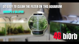 biOrb Aquariums Filter Cleaning and Setup for Shrimps and Killifish