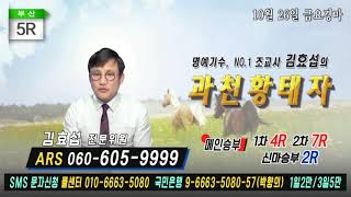 김효섭의 과천황태자 10월26일 금요경마 해설방송