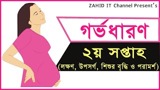 গর্ভাবস্থার ২য় সপ্তাহ (লক্ষণ ও উপসর্গ) || Pregnancy:  2nd week signs and symptoms