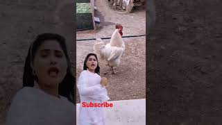 ওয়াও সেই রকম লাগছে funny video |♪♪😁😁