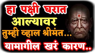 असे पक्षी आपल्या घरात येत असतील तर समजून जा तुमच्या वरील आपत्ती, संकटे, दुःख लवकरच संपणार आहे.