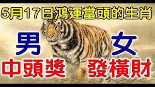 5月17日鴻運當頭的生肖，男中頭獎，女發橫財 | 星座生肖