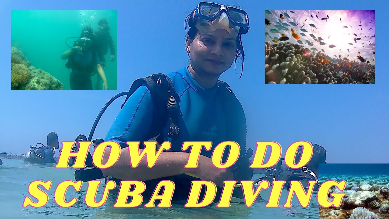 Learn Scuba Diving In 5 Minutes Youtube