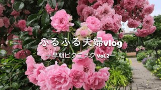 ヨーロッパに行った気分♪港の見える丘公園！バラに囲まれながら早朝ピクニックvlog｜ローズフェスティバル｜イングリッシュローズの庭｜お洒落サンドイッチを作ってみた｜外国の雰囲気を味わう｜暮らしvlog