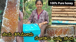 100% Pure Honey | How to harvest honey | Jenu krushi | ಜೇನು ಕೃಷಿ | ಜೇನು ಪೆಟ್ಟಿಗೆಯಿಂದ ಜೇನು ತೆಗೆಯೋದು