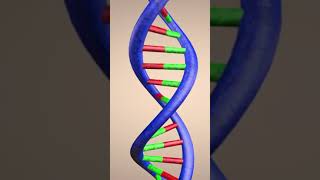 Today in History 🚨 February 28th, 1953 ⏰ The Discovery of the DNA Structure 🧬 #todayinhistory #dna