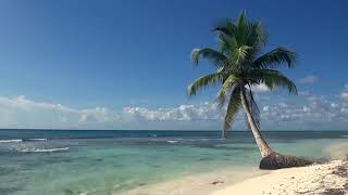 Relaxing 3 Hour Video of A Tropical Beach with Blue Sky White Sand and Palm Tree 1