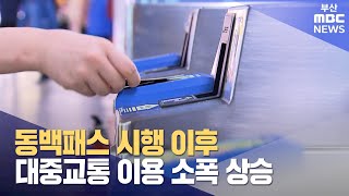 동백패스 시행 이후 대중교통 이용 소폭 상승 (2023-10-31,화/뉴스투데이/부산MBC)