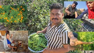 आज घर के गार्डन से बहुत सारी सब्जियाँ तोड़ी ओर बनाई l Organic Vegetables Harvesting l Desy Viloge