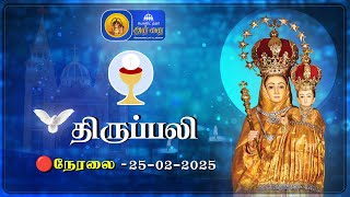 🔴 LIVE : Morning Tamil Mass | Annai Velankanni Shrine Besant Nagar Chennai | 25/02/2025