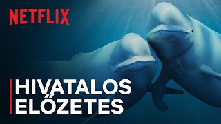 Óceánjaink | Barack Obama | Hivatalos előzetes | Netflix