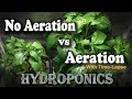 Aeration vs No Aeration - Hydroponic Peppers w/Time Lapse (Brinno) “Semi-DWC vs Kratky” Aeration vs No Aeration - Hydroponic Peppers w/Time Lapse (Brinno) “Semi-DWC vs Kratky”