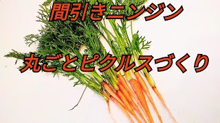 【菜食料理】間引きニンジン丸ごと使って～ニンジンピクルス～