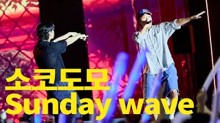 [Live] 소코도모 - Sunday Wave : 울산서머페스티벌 :240814