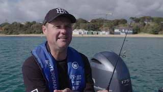 Habitat and Marine Life in Port Phillip Bay, Victoria