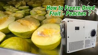 How to freeze dried fruit ? #shorts