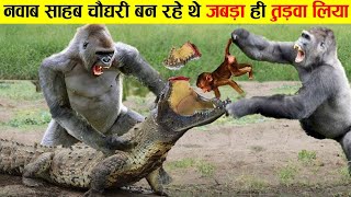 बड़ा चौधरी बन रहा था, जबड़ा ही उखाड़ दिया ! crocodile ! animal facts ! earth adventure in hindi