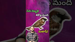 వీడి దెబ్బకి 4కోట్ల మంది మటాష్ Sparrow #anilunfiltered