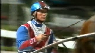 Harness Racing,Harold Park-1994 Inter-Dominion (Chris & Tess Gleeson)