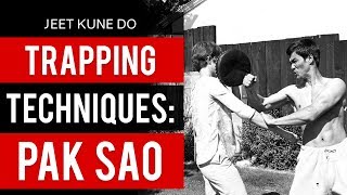 Bruce Lee's Jeet Kune Do Trapping Techniques - Pak Sao