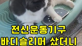 금수저 집으로 입양된 고양이 하루🐈‍⬛🐈 #shorts#고양이