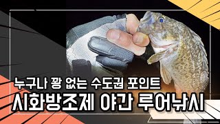 수도권포인트 시화방조제 루어낚시 절대 꽝없는 포인트와 팁!