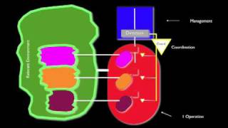 Viable System Model