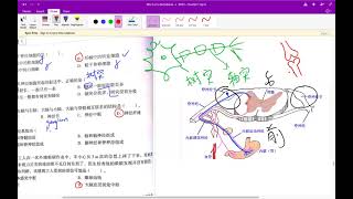 初二综合科学上册作业簿 第八章 人体的神经调节