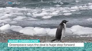 Protected Marine Reserve in Antarctica