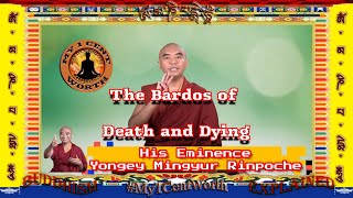 Learning about dying teaches us how to live by Mingyur Rinpoche