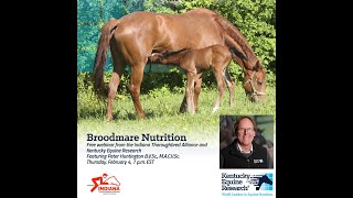 Broodmare Nutrition Webinar with Kentucky Equine Research